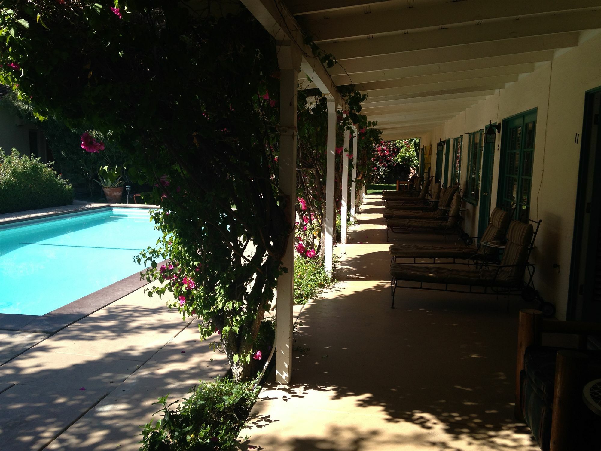 卡萨科迪酒店 棕榈泉 外观 照片